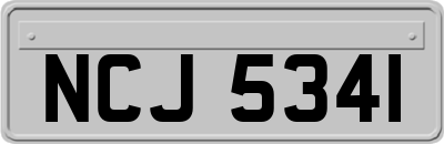 NCJ5341