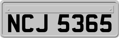 NCJ5365
