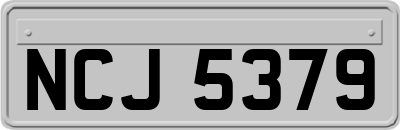 NCJ5379