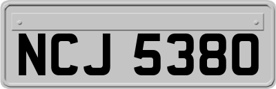 NCJ5380