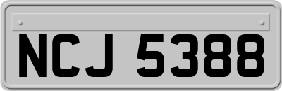 NCJ5388