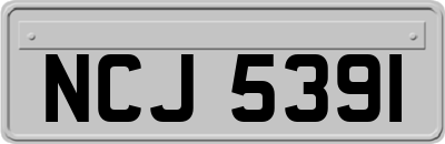 NCJ5391