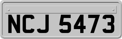 NCJ5473