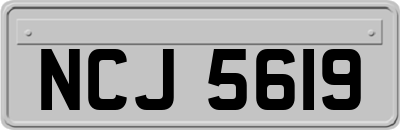 NCJ5619