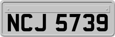 NCJ5739