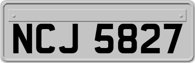 NCJ5827