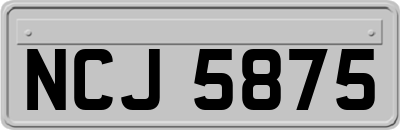 NCJ5875