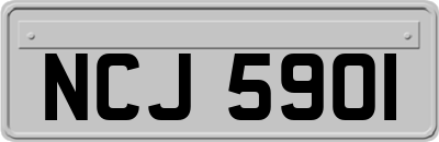 NCJ5901