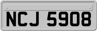 NCJ5908