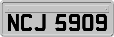NCJ5909