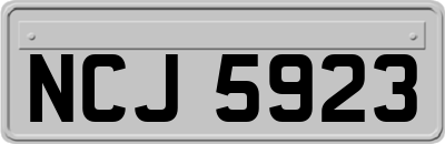 NCJ5923