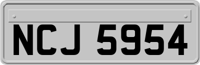 NCJ5954