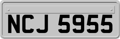 NCJ5955