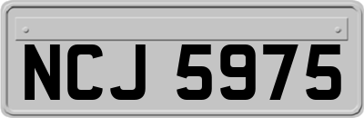 NCJ5975