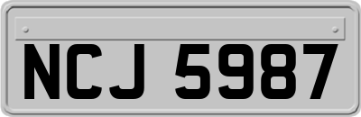 NCJ5987