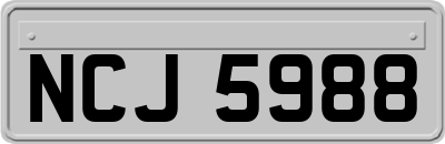 NCJ5988
