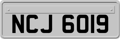 NCJ6019
