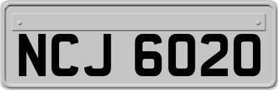 NCJ6020