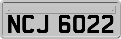 NCJ6022