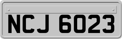 NCJ6023