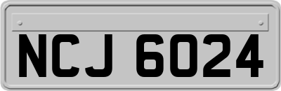 NCJ6024