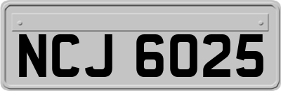 NCJ6025