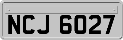 NCJ6027