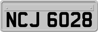NCJ6028