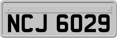 NCJ6029
