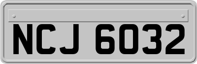 NCJ6032