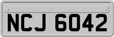 NCJ6042