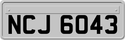 NCJ6043