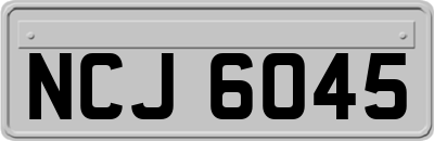NCJ6045