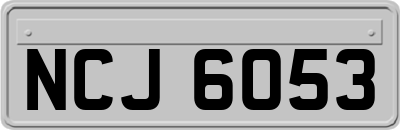 NCJ6053