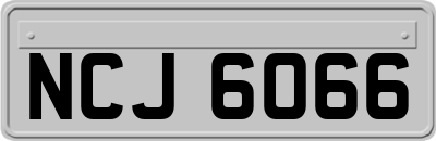 NCJ6066