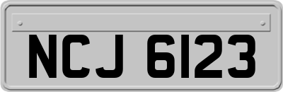 NCJ6123
