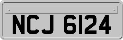 NCJ6124