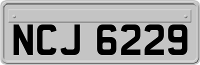 NCJ6229