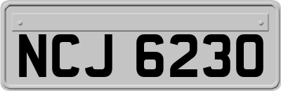 NCJ6230