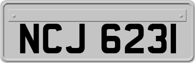 NCJ6231