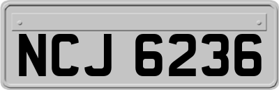 NCJ6236