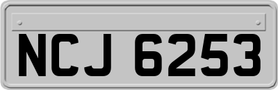 NCJ6253