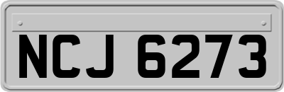 NCJ6273