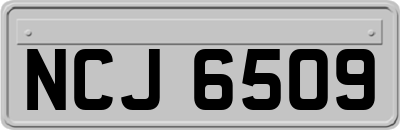 NCJ6509