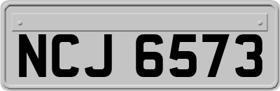 NCJ6573