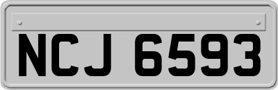 NCJ6593