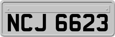 NCJ6623