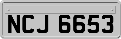 NCJ6653