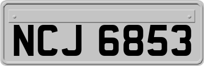 NCJ6853