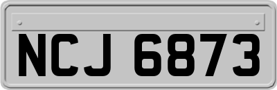 NCJ6873